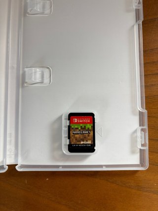 Minecraft Nintendo Switch