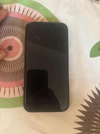 iPhone 13 Pro Max 256GB Negro