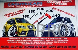 Luz matricula twingo clio 2