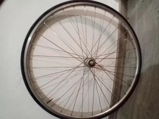 Ruedas Fixie