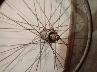 Ruedas Fixie