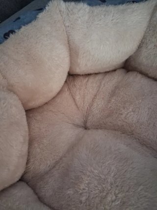 Cama para mascotas azul y beige