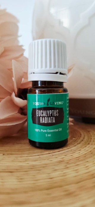 Aceite Esencial Eucalyptus Radiata 5ml