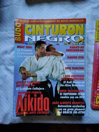 10 Revistas Cinturón Negro lote 2