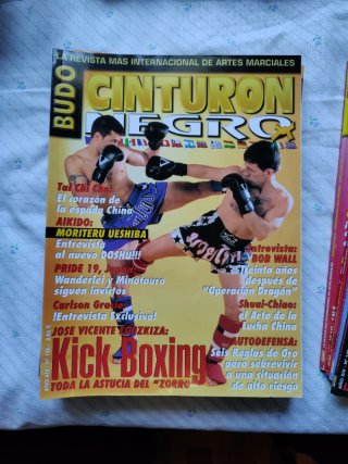 10 Revistas Cinturón Negro lote 2