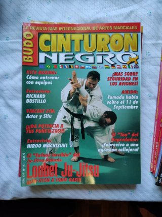 10 Revistas Cinturón Negro lote 2