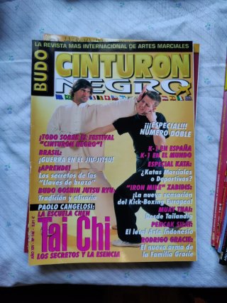 10 Revistas Cinturón Negro lote 2