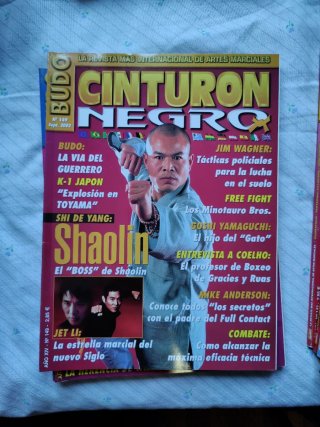 10 Revistas Cinturón Negro lote 2