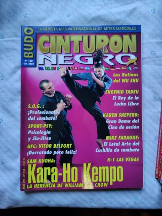 10 Revistas Cinturón Negro lote 2