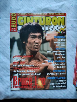 10 Revistas Cinturón Negro lote 2