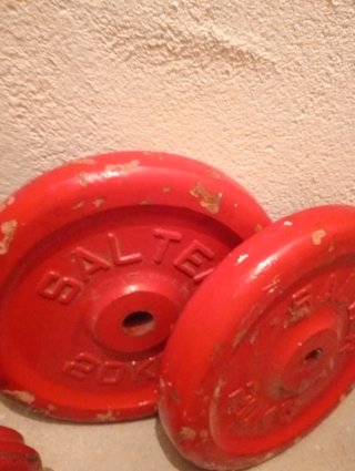 Discos de pesa Salter 20 kg
