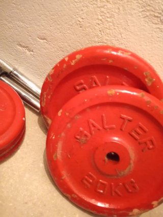 Discos de pesa Salter 20 kg
