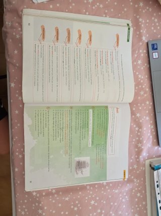 Llengua catalana i Literatura, 4 ESO