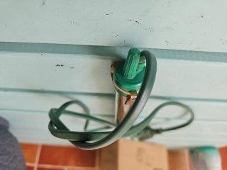 Termostato para acuario