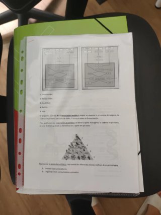 Preparación acceso universidad mayores de 25 años