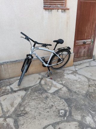 2 Bicicletas Orbea Paseo