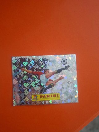 Cromo Panini Fútbol Mundial