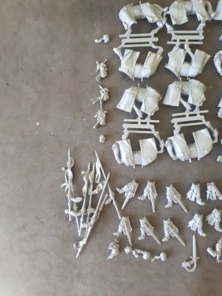 Warhammer 6 Caballeros Bretonia