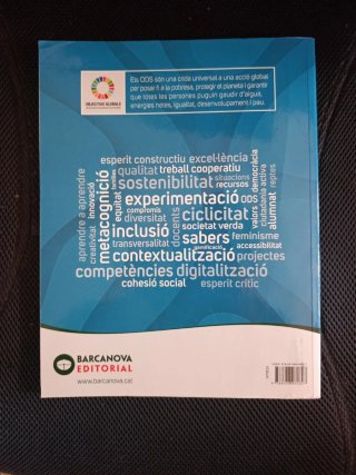 Matemàtiques, 6 Educació Primària, Programa Rao...