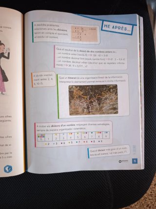 Matemàtiques, 6 Educació Primària, Programa Rao...