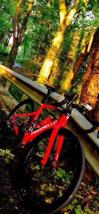 Pinarello X3 impecable TALLA 49 MIDO 1,70