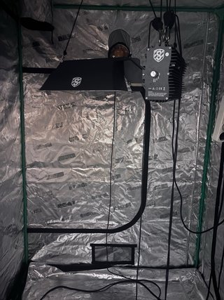 Cultivo interior completo