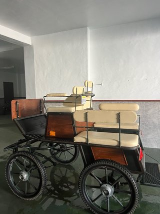 Carruaje maratón
