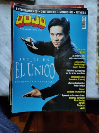 10 Revistas Dojo lote 1