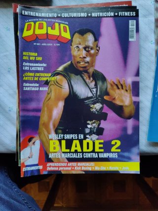 10 Revistas Dojo lote 1