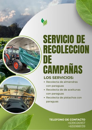 Servicio de recoleccion con paraguas