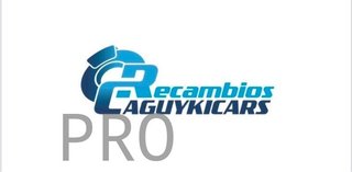 Moldura paragolpes Renault Mégane 1 Nuevo