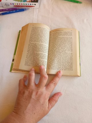 Discursos conmemorativos, Antonio Maura, Austral