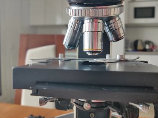 Microscopio óptico