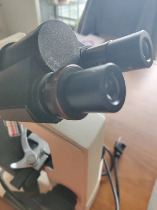 Microscopio óptico