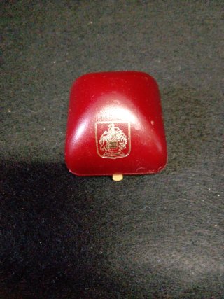Anillo Plata Azabache y Circonitas