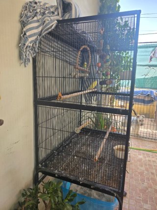 Jaula grande para pájaros