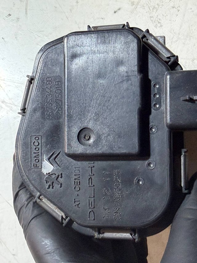 Caja Mariposa PSA 28098656