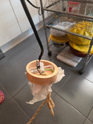 Lámpara colgante de mimbre artesanal