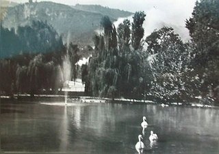 TRENTO - Il laghetto dei cigni - 1955