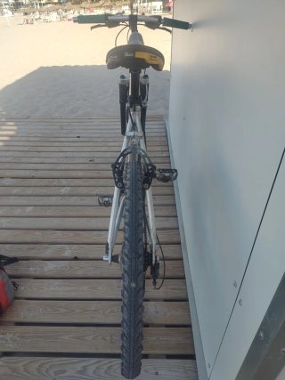 Bicicleta Montaña GT Avalanche Clásica