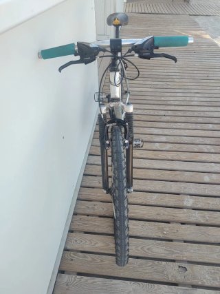 Bicicleta Montaña GT Avalanche Clásica