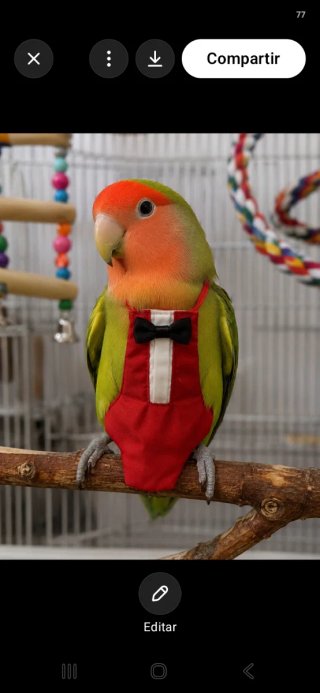 Lote Accesorios Juguetes Pajaros