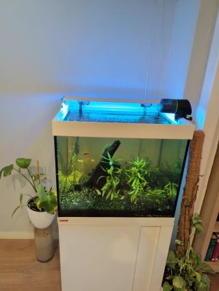Acuario Eheim 150L Completo,mueble incluido