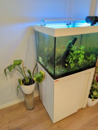 Acuario Eheim 150L Completo,mueble incluido