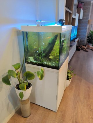 Acuario Eheim 150L Completo,mueble incluido