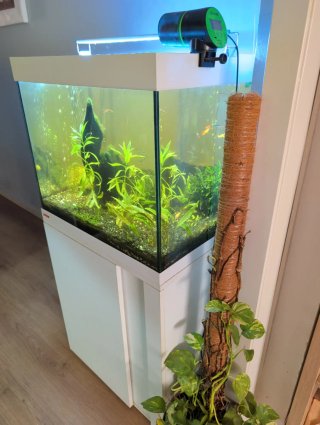 Acuario Eheim 150L Completo,mueble incluido