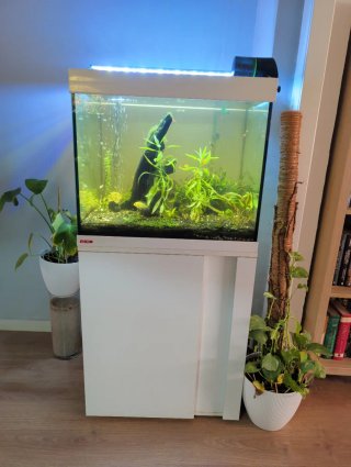Acuario Eheim 150L Completo,mueble incluido
