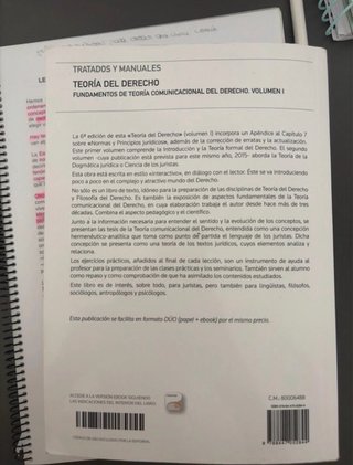 Teoría del Derecho+ Apuntes completos