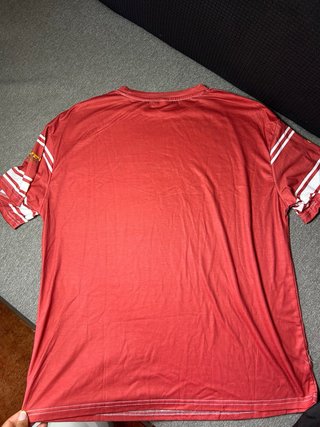 Camiseta Harry Potter Gryffindor 07 Roja