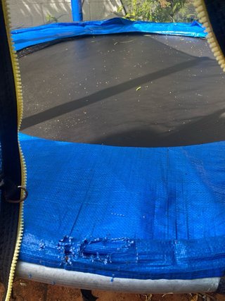 Cama elástica trampolín azul